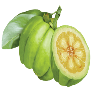 Garcinia cambogia 1000 mg side effects picture 5