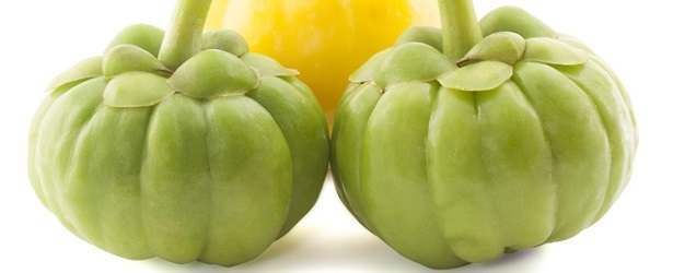 Garcinia Cambogia Review